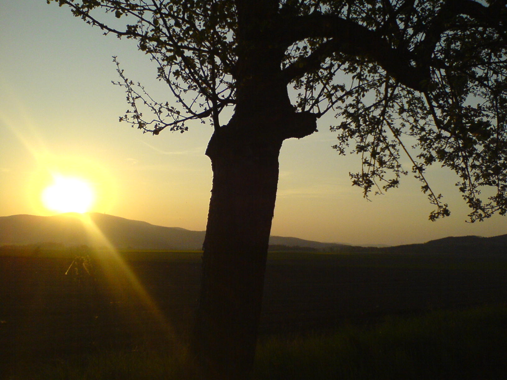 DSC00092.JPG