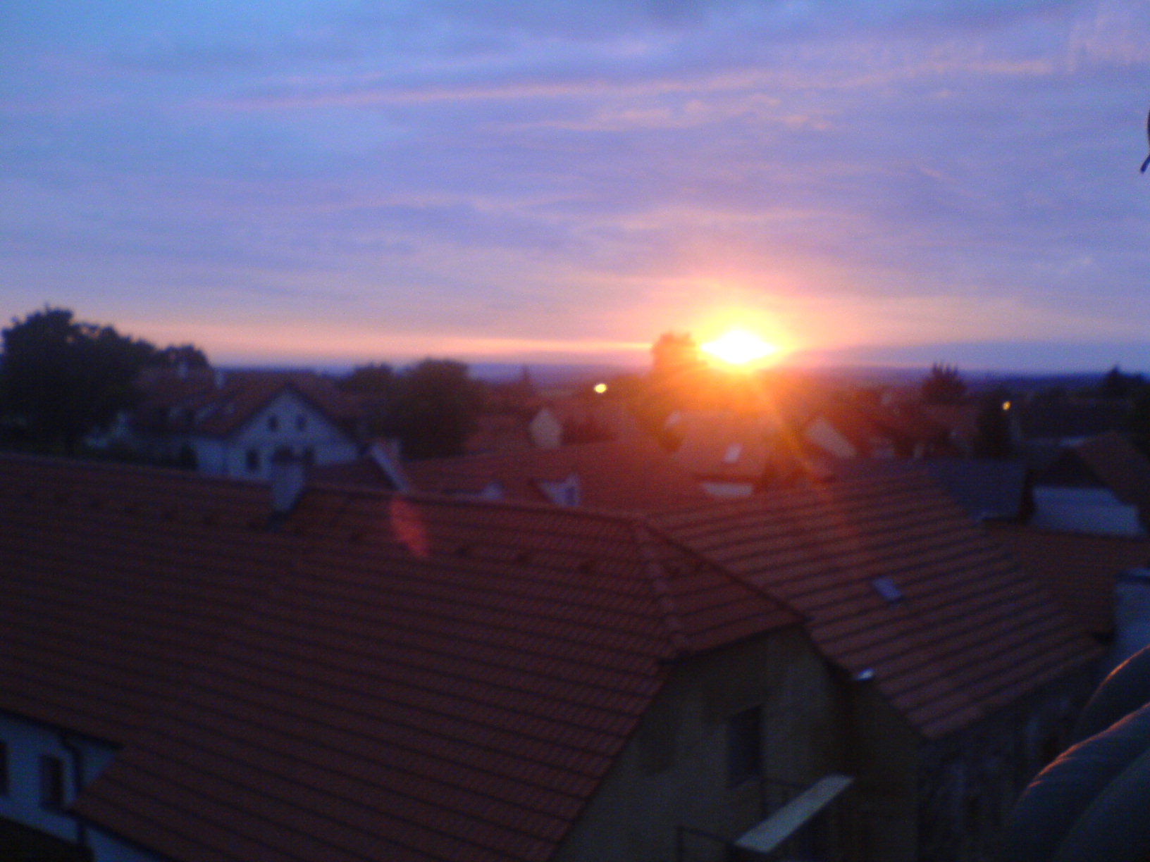DSC01403.JPG
