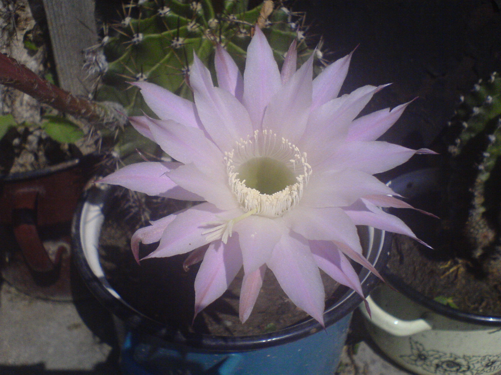 DSC01455.JPG