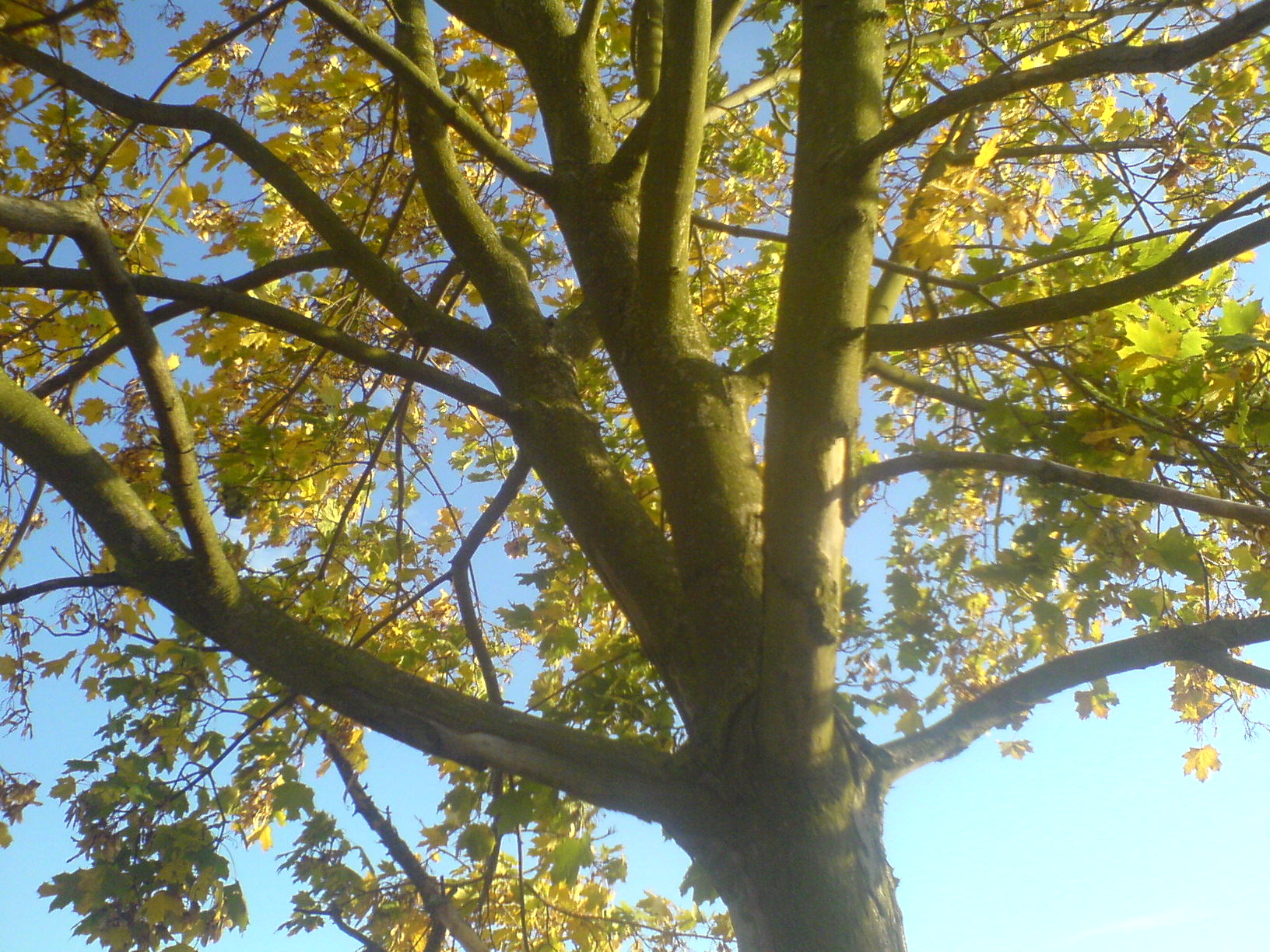 DSC02275.JPG